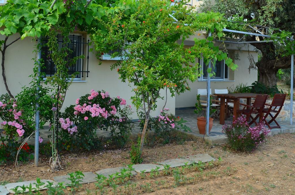 Villas Zoe Ksanemos Luaran gambar